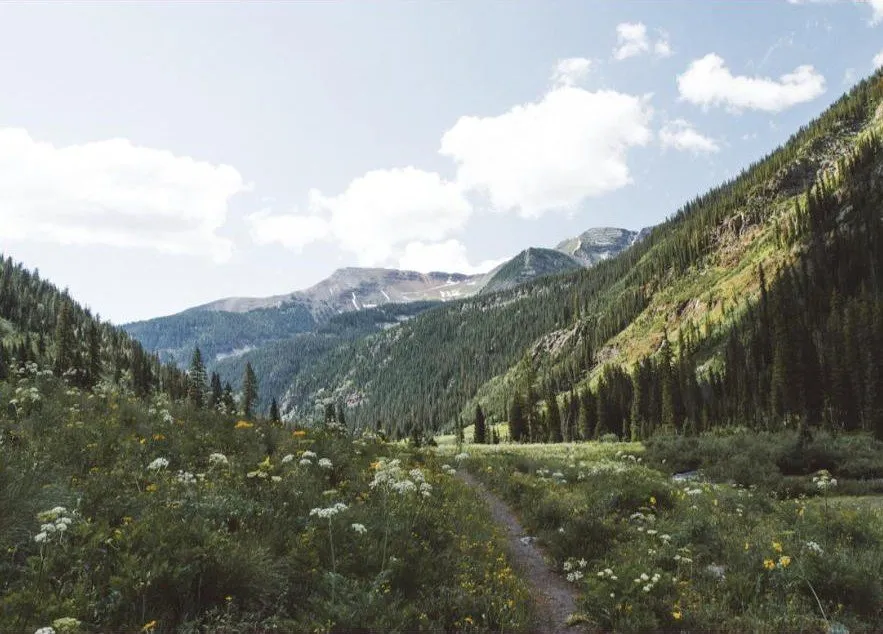 A green Colorado mountain valley
