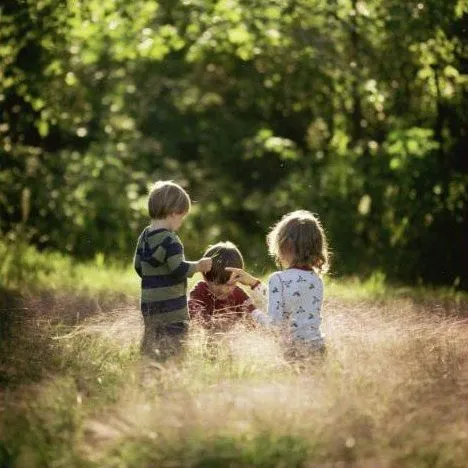 Three young children walking through a sunlit meadow