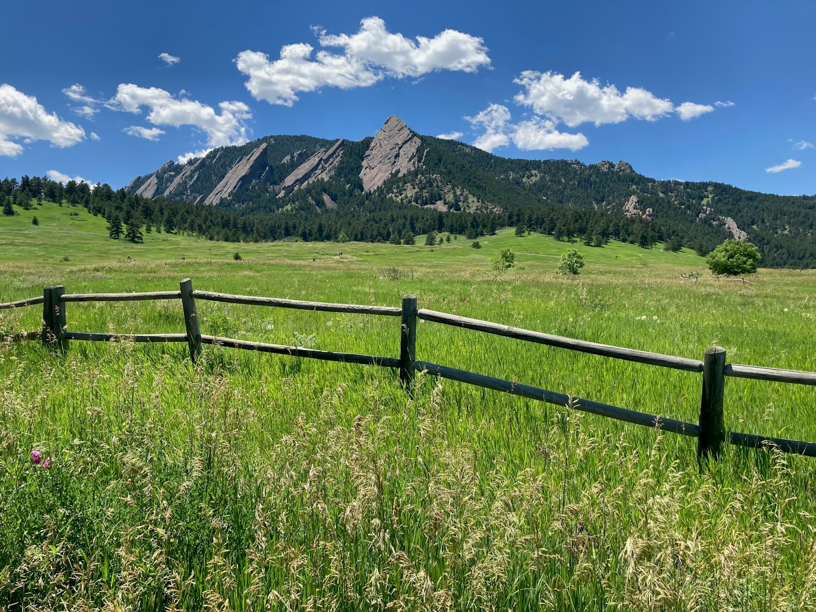 Wooden fence in a grassy open space with mountains near Boulder, Colorado, a quiet low-sensory spot