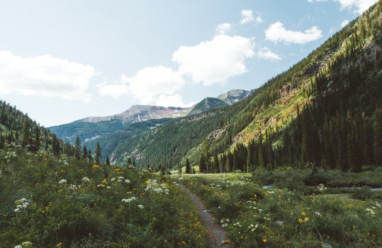 What Colorado families should ask before starting ABA: supervision hours, waitlist in weeks, insurance coverage, and whether your plan is self funded.